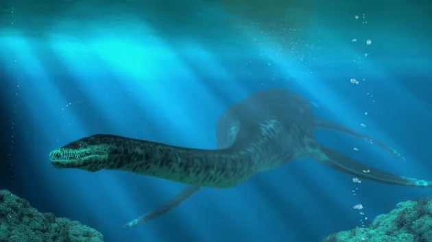news_plesiosaur_2182553822
