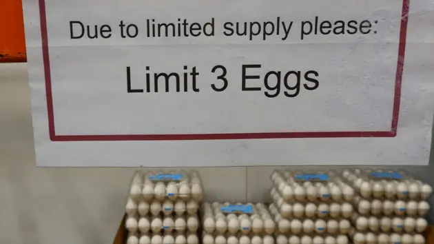 untitled20design20286629805996