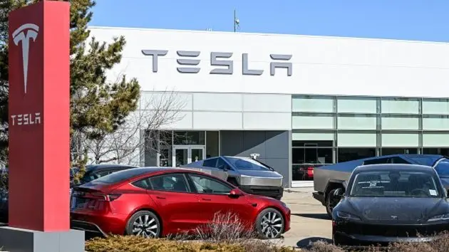 g_tesla_040225678542