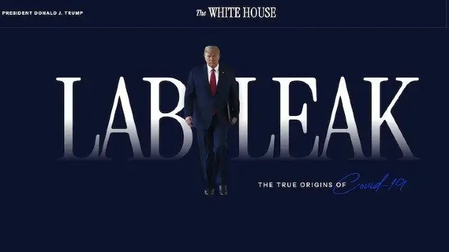 wh_41925_website54884