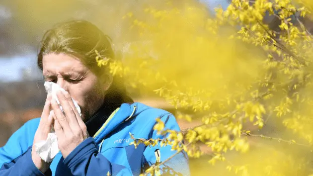 untitled20design20282129379064