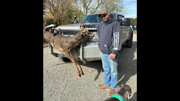 fairuse_michigan_929690919