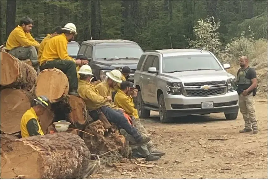 hot-shots-held278603