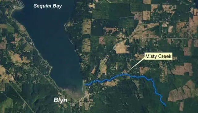 misty-creek-e1572542495775