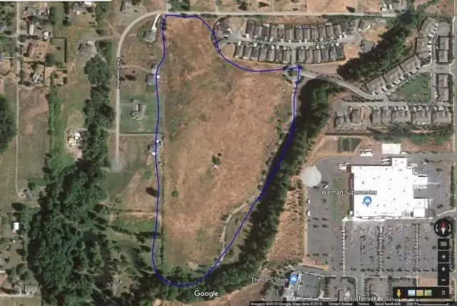 ruth-development-e1559323240991