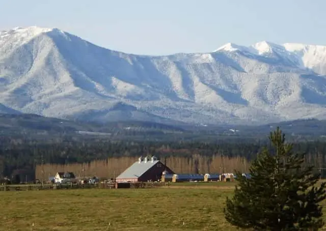 sequim-farm-e1543966404216-11