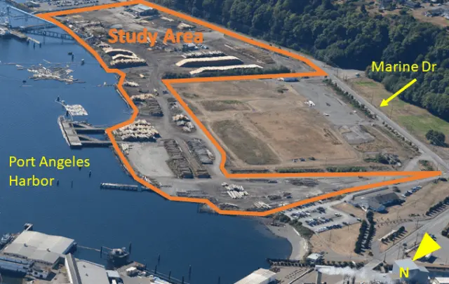 cleanup-site-marine-dr-e1685575144390