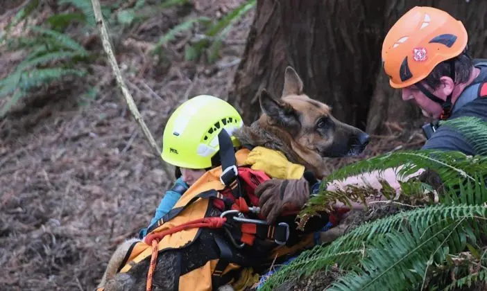 434319459_7692022614247165_2114309604337256911_n-e1711978976382