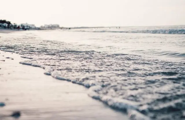 shore2-e1541109120906