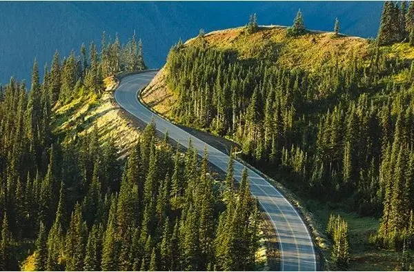 hurricane-ridge-rd-edit-e1662069510719