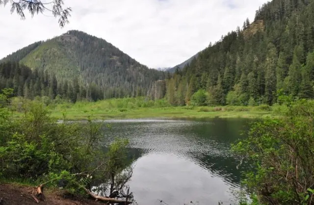 elk-lake-e1662071702812