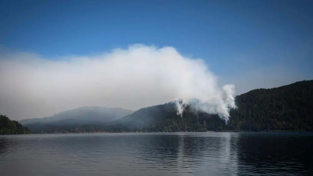 71cb02cc-a6d6-456a-93a6-2c7bd9db5d4c