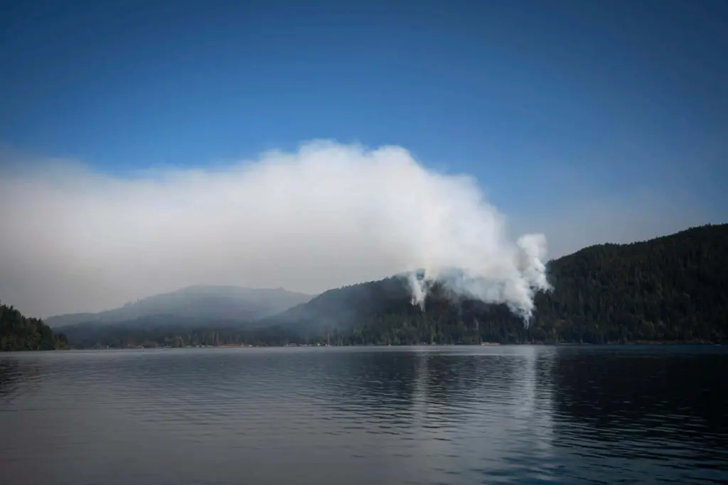 71cb02cc-a6d6-456a-93a6-2c7bd9db5d4c