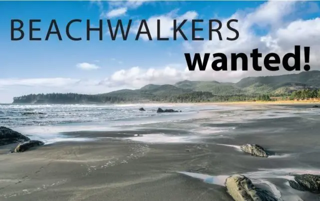 beach-walkers-wanted-e1659473479832