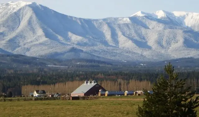 olympus-digital-camera