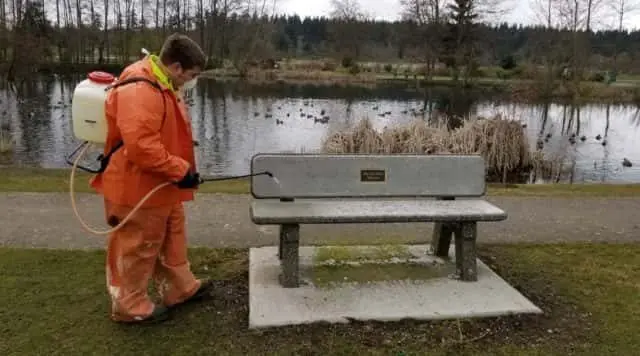 sequim-clean-e1585876427448