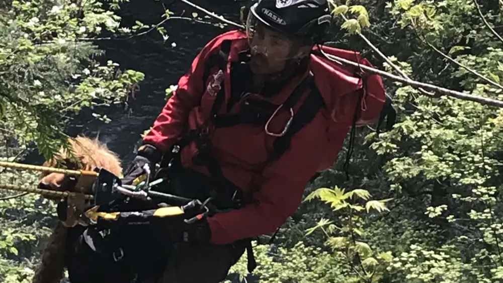 69850517-662c-4afb-8f65-298c6fbe3b77