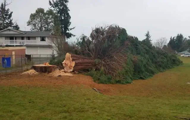 20190103_122824-1-e1546559223193