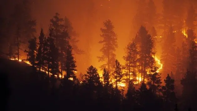 istock_11119_wildfirestock