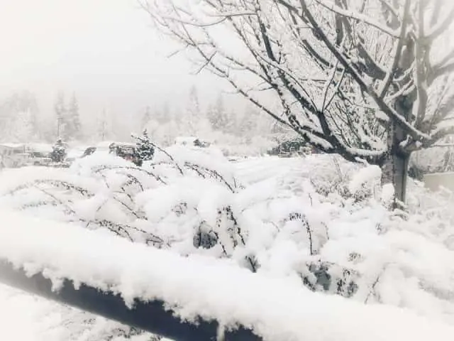 51290633_10157047396990126_1957208835781296128_n-e1549291007584