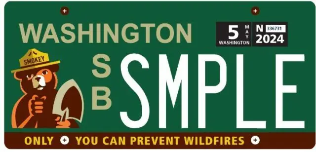 smokey-bear-plate-e1704408448802