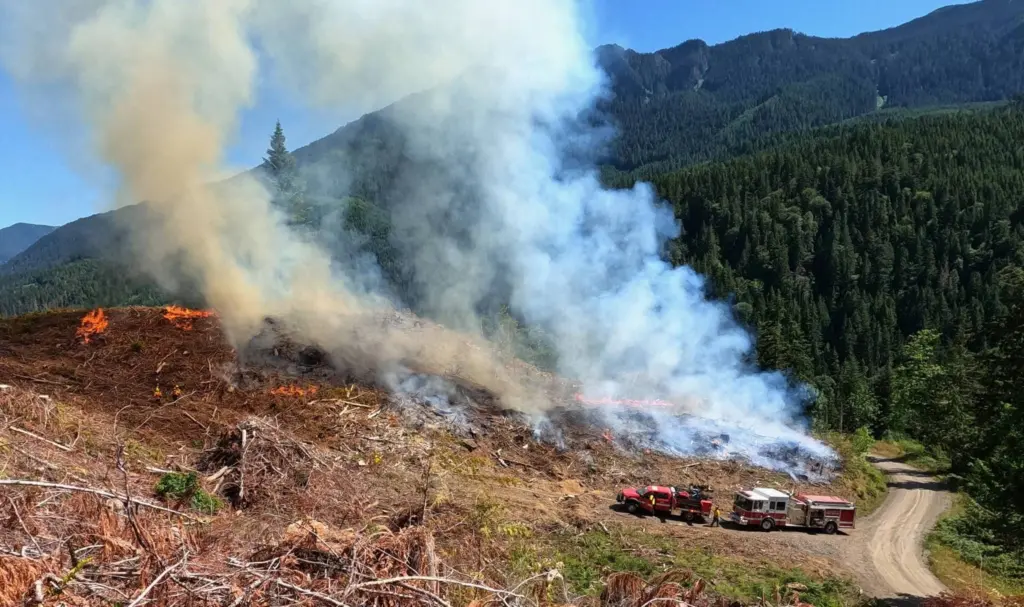 439cf453-cbe3-4784-a99c-cc243e766c7b