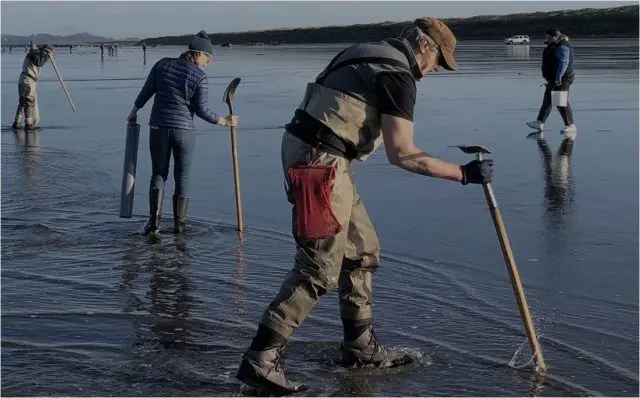 clamming-e1663801382611-3