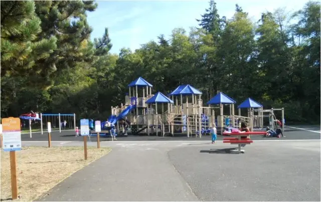 shane-park-e1686014925802