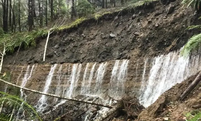 sr113-slidecloggedculvert-e1651841619948