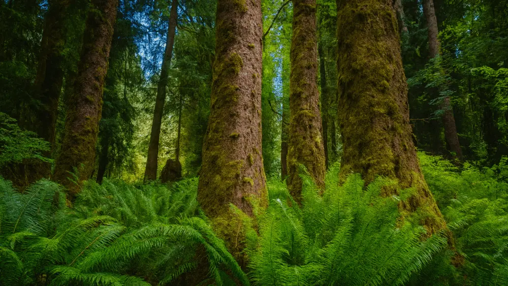 chatgpt-image-oct-7-2025-06_02_52-am