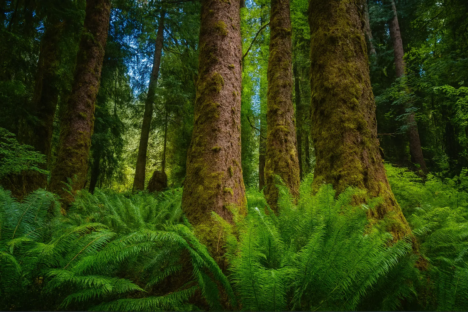 chatgpt-image-oct-7-2025-06_02_52-am