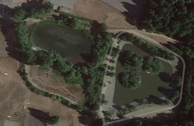 capture-e1701960137559