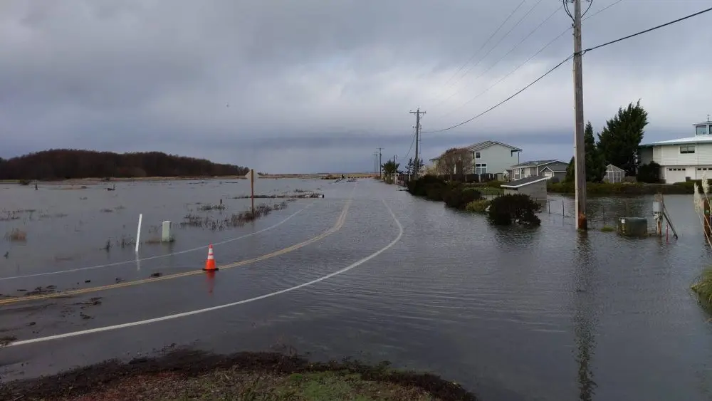 3-crabs-flooding-e1746651151944