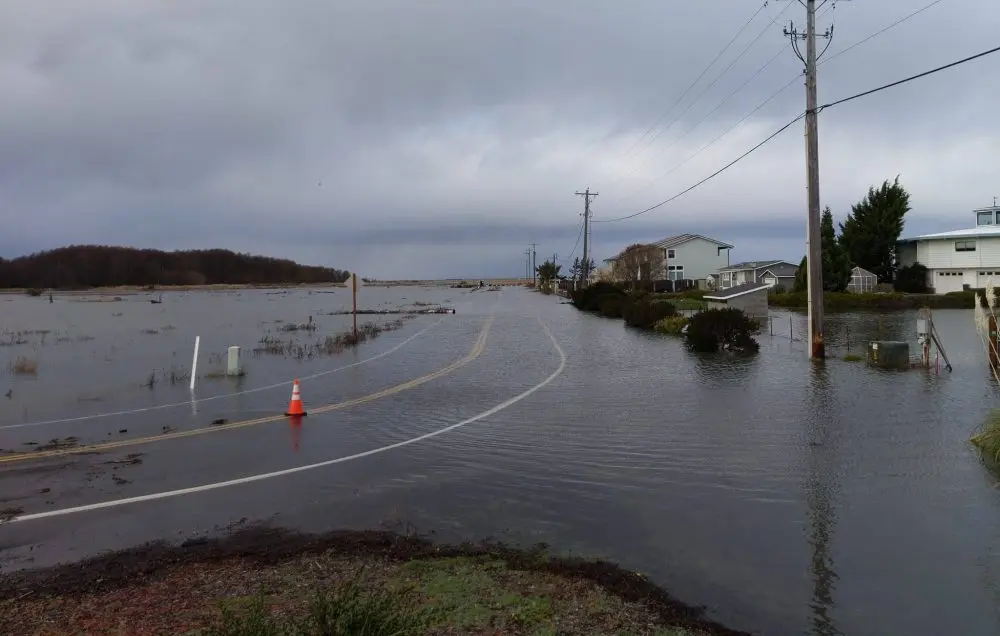 3-crabs-flooding-e1746651151944