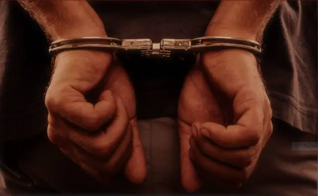 red-handed-e1607374104713