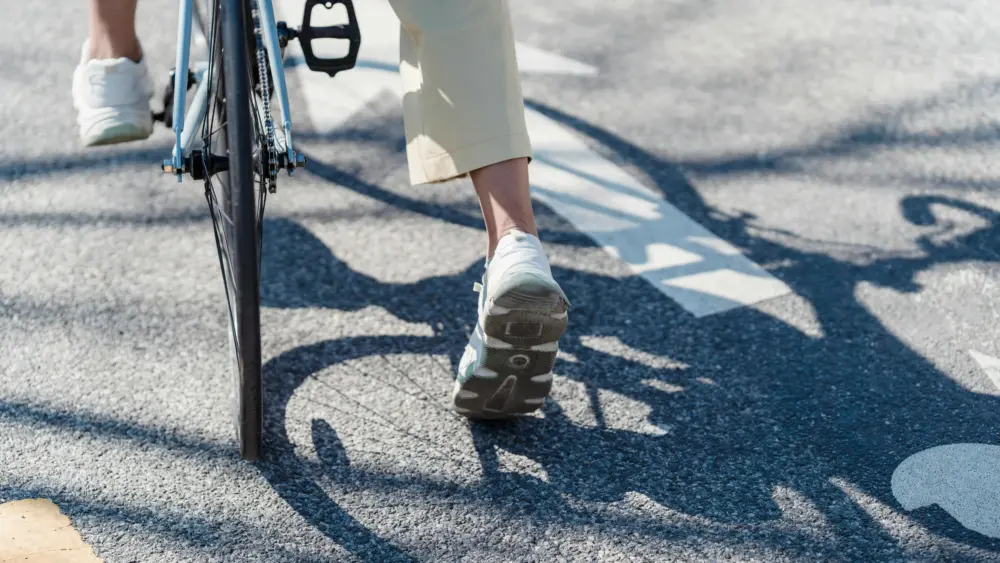 pexels-blue-bird-7243039