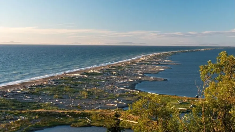 dungeness-spit-e1722542598988-4