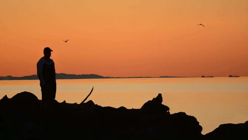 sunsetedizhook-e1751995252454