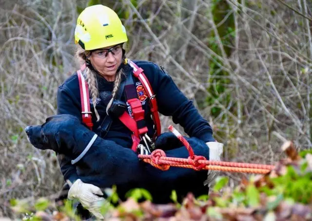 mb-with-dog-2-e1646834000706