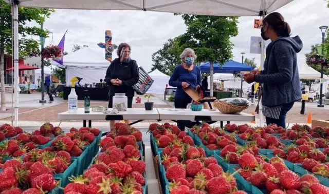 market-5-e1623273949740