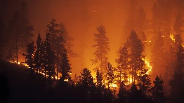 istock_92320_forestfire