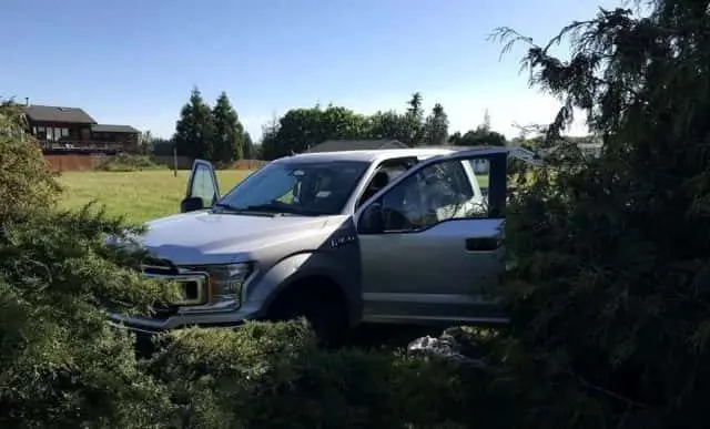 deman2-e1557503274414