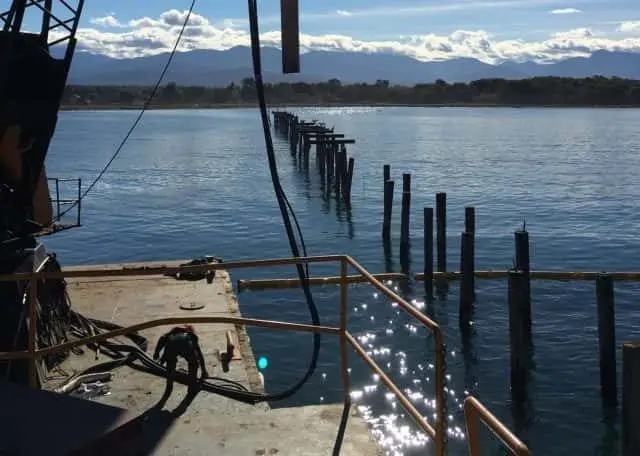 pilings-2-e1539220494340