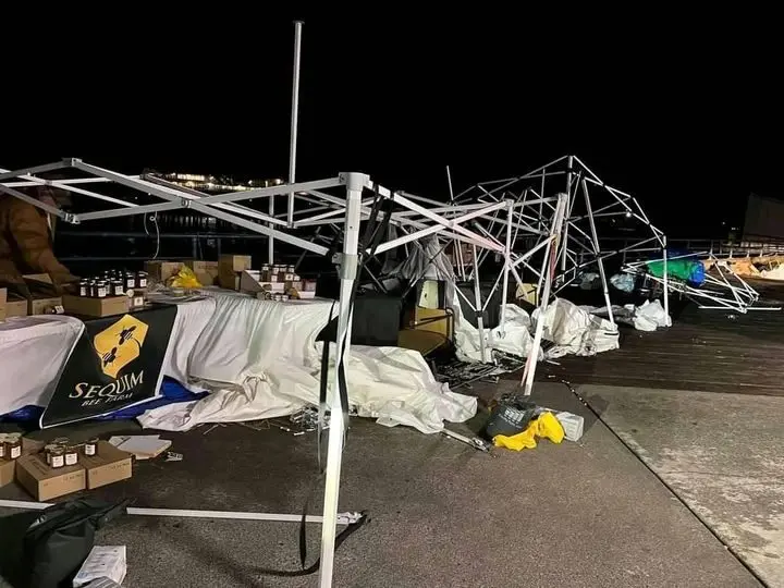 244650154_2965734217075961_5438549913057725804_n