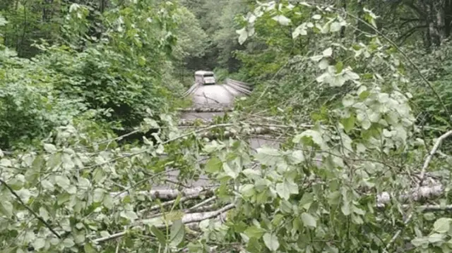 forks-bus1-2-e1591365461606-2