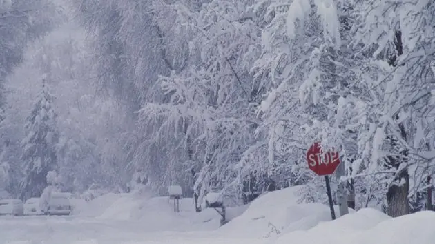 stop-sign-on-a-snow-covered-street