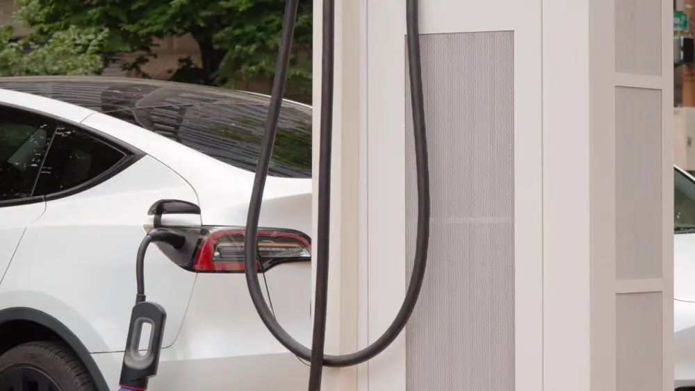 pexels-dean-fugate-17748317-e1705074309757