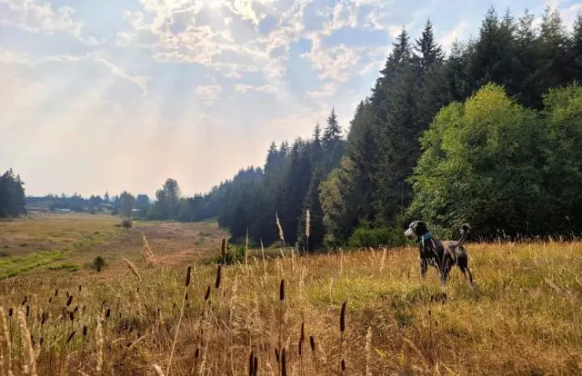 robin-hill-park-2-e1663020992808