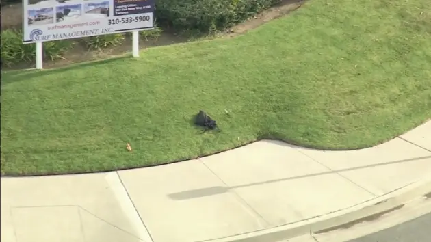 kabc-bomb-1014656942