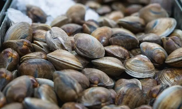 pexels-kindel-media-8352783-e1655211193161